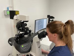 En laboratorieskötare undersöker något i ett mikroskop på fertilitetskliniken på ÅUCS.